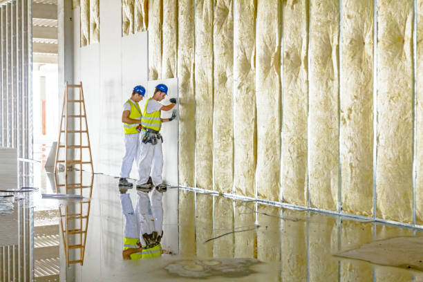 Best Blown-in Insulation in Desloge, MO